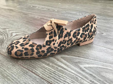 Jazz Shoe - Leopard